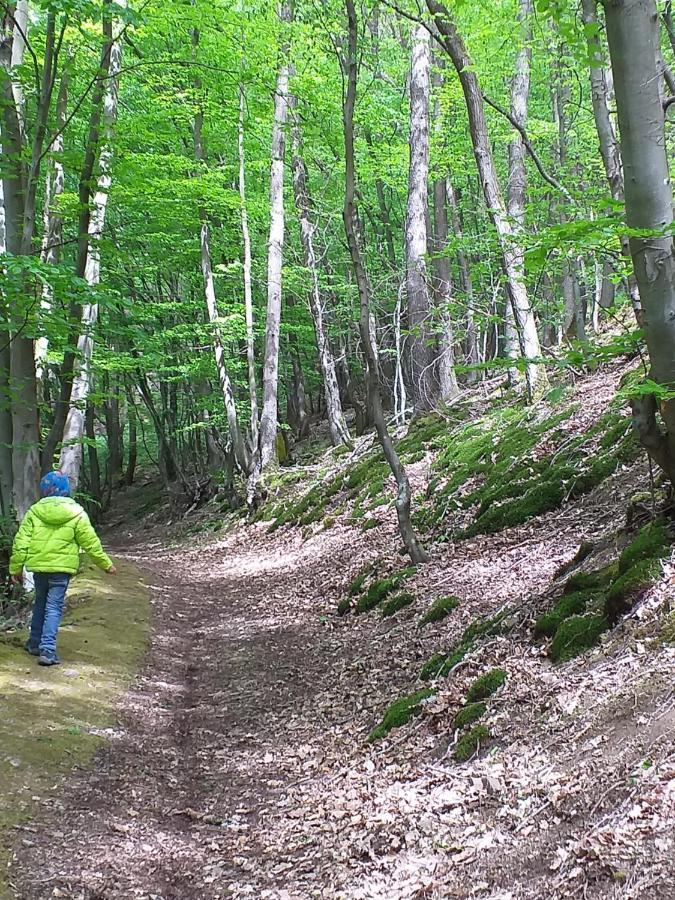 Eifelverweiler Weiler  Bagian luar foto