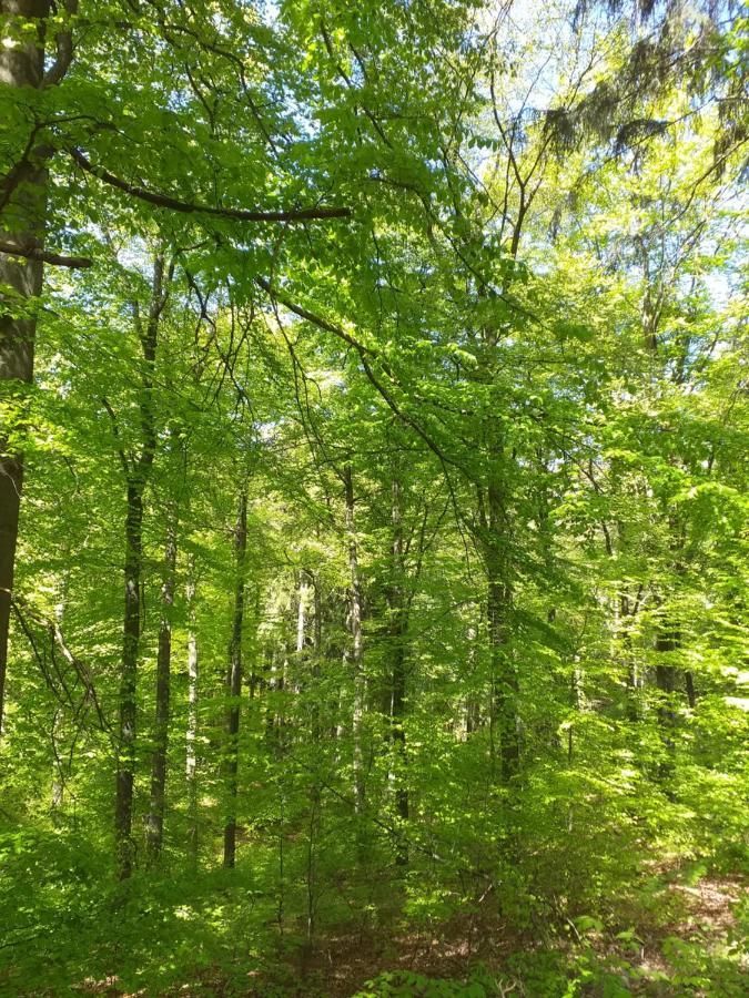 Eifelverweiler Weiler  Bagian luar foto
