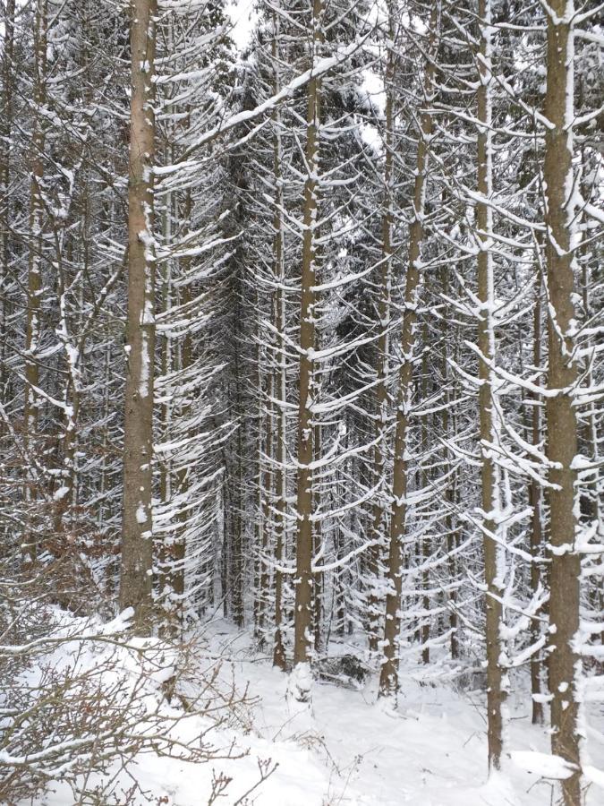 Eifelverweiler Weiler  Bagian luar foto