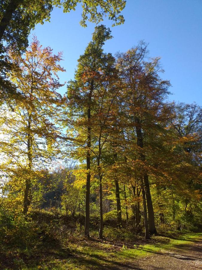 Eifelverweiler Weiler  Bagian luar foto