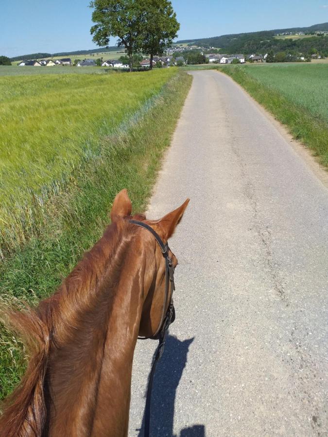 Eifelverweiler Weiler  Bagian luar foto
