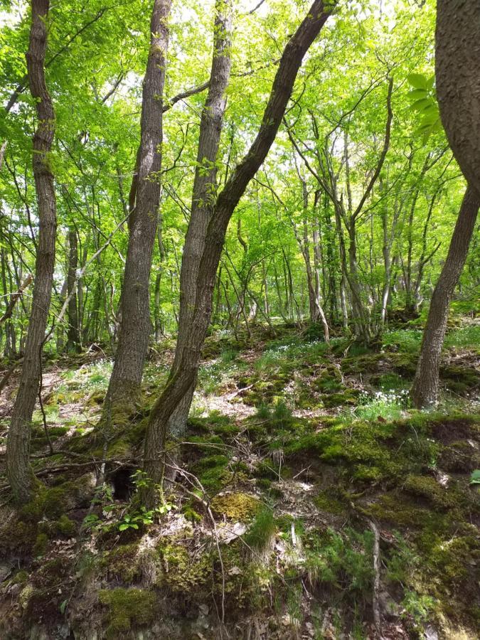 Eifelverweiler Weiler  Bagian luar foto