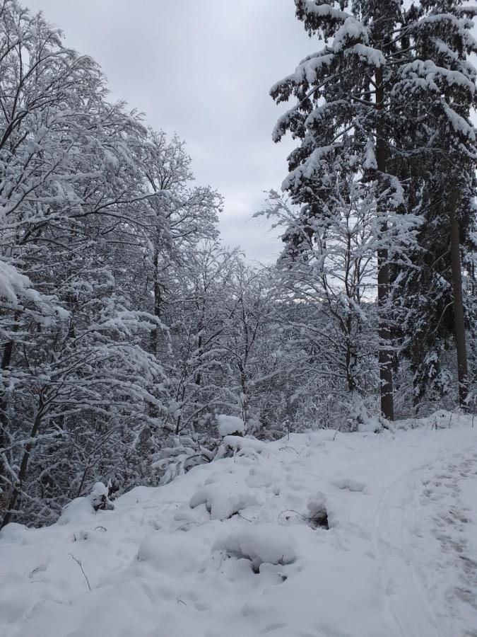 Eifelverweiler Weiler  Bagian luar foto